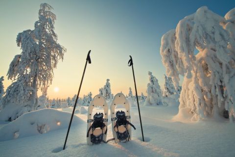 Rovaniemi: Hiking and Snowshoeing Adventure in Lapland