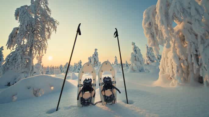rovaniemi aventure randonnée et raquettes en laponie