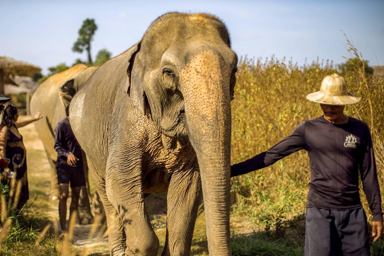 Cambodia Elephant Sanctuary, Pickup and drop off included