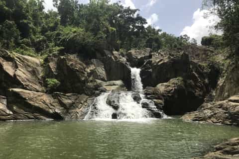 puerto rican rainforest tour with hike waterfall and beach