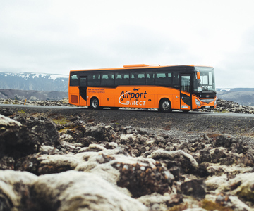 The BEST Reykjavik Tours and Things to Do in 2024 - FREE Cancellation ...