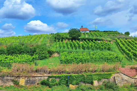 Bad Dürkheim: Romans, Vines, and a Giant Barrel – Nature & Wine Enjoyment Hiking Tour Bad Dürkheim: Römer, Vines, and the Giant Barrel – Nature & Wine Enjoyment Hiking Tour