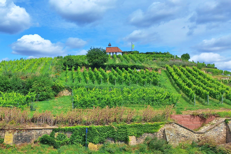 Bad Dürkheim: Romans, Vines, and a Giant Barrel – Nature & Wine Enjoyment Hiking Tour Bad Dürkheim: Römer, Vines, and the Giant Barrel – Nature & Wine Enjoyment Hiking Tour