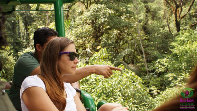 Visit From San Jose Rainforest Atlantic Aerial Tram Tour in Monteverde, Costa Rica