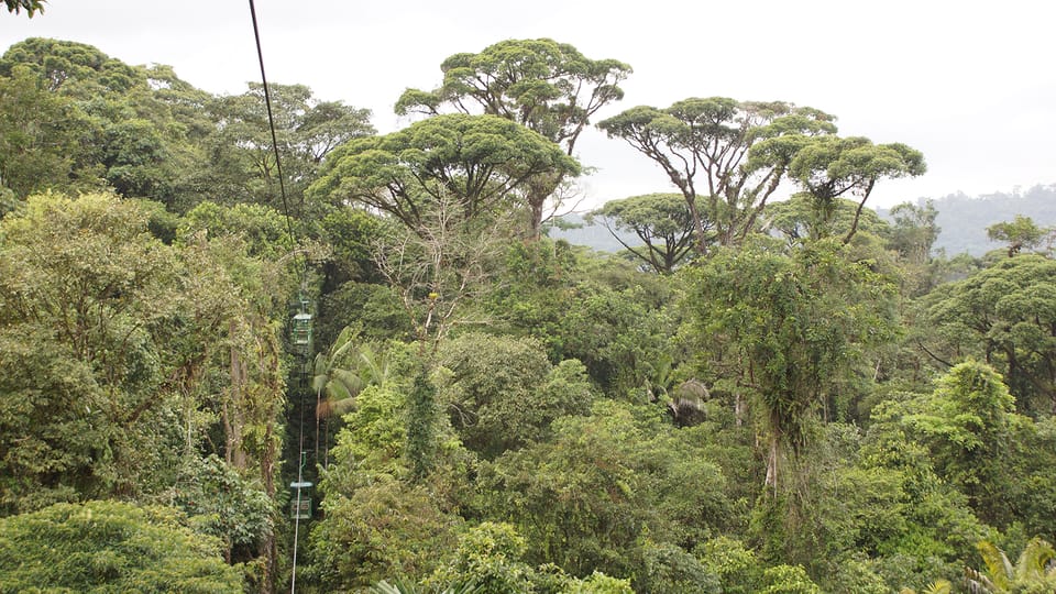 Abenteuer des Regenwaldes Costa Rica Luft Tram Tour Braulio Ca - Hizvo