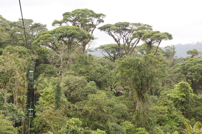 Rainforest Adventures Costa Rica Aerial Tram Tour Braulio Ca Tour without transfer