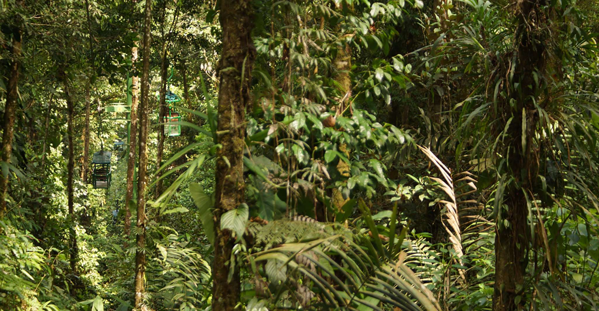 Abenteuer des Regenwaldes Costa Rica Luft Tram Tour Braulio Ca - Hizvo