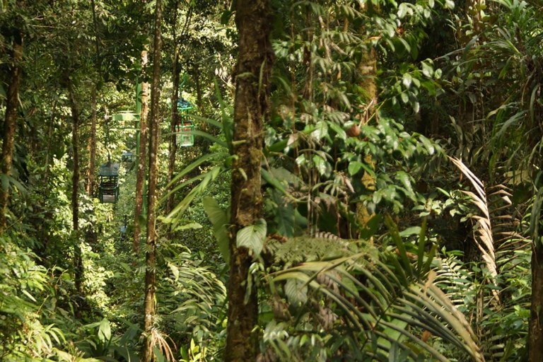 Rainforest Adventures Costa Rica Aerial Tram Tour Braulio CaTour ohne Transfer