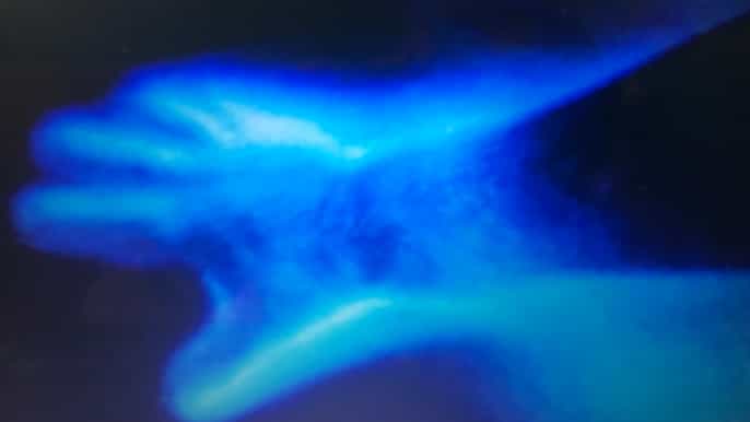 vieques bioluminescent bay boat ride