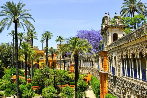 Sevilla: Giralda ja Royal Alcázar Opastettu kierros.