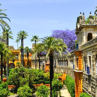 Séville : visite de l'Alcazar, la cathédrale et la Giralda