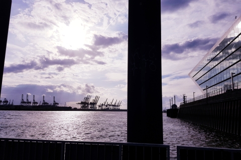 Hamburg: Prywatna wycieczka po porcie1-godzinna prywatna wycieczka portowa łodzią