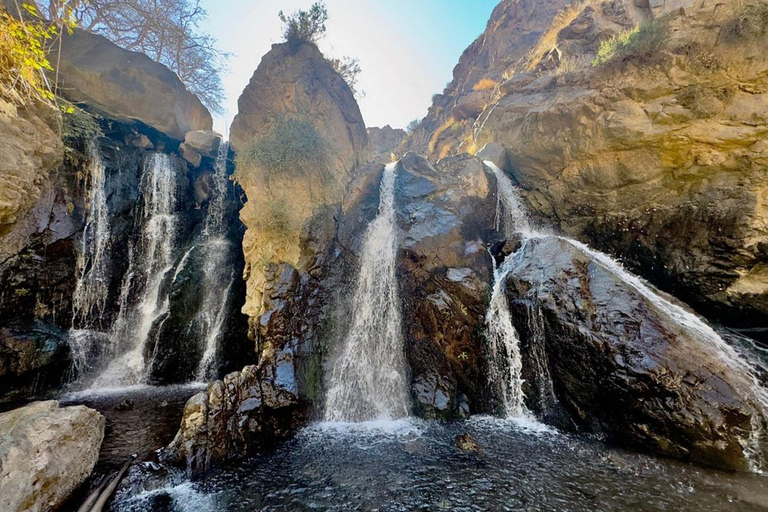 Marrakech: ourika valley & lunch & guided hike to waterfalls