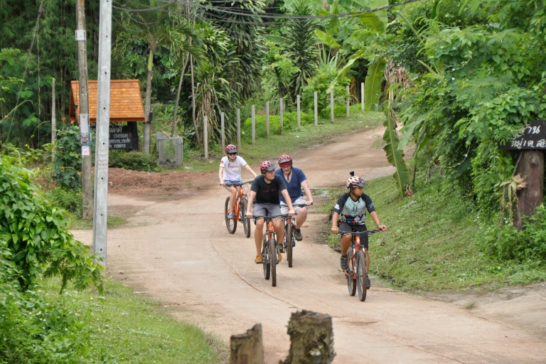 Chiang Mai: Fahrradtour durch die goldenen Reisfelder