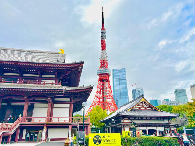 Tokyo: Private 1-Day Tour