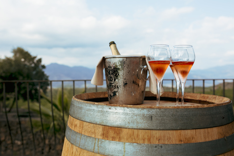 From Taormina: Mount Etna Food and Wine Tasting Tour