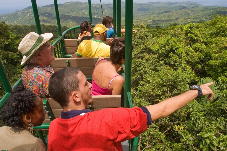 Sainte-Lucie : Tour en tramway aérien de la forêt tropicaleTour en tramway aérien Rainforest Adventures Sainte-Lucie