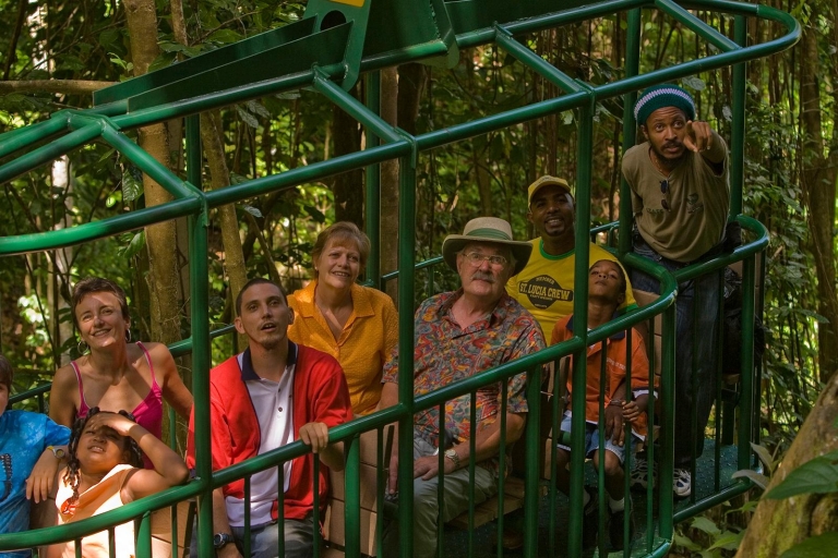 Sainte-Lucie : Tour en tramway aérien de la forêt tropicaleTour en tramway aérien Rainforest Adventures Sainte-Lucie