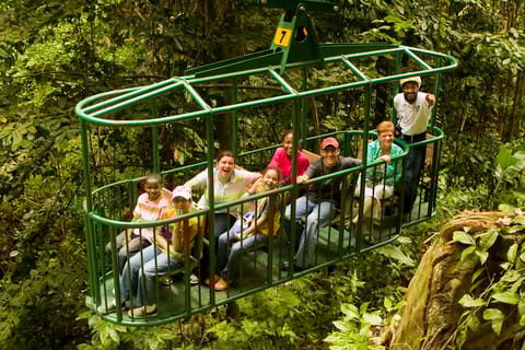 St. Lucia Aerial Tram Tour at Rainforest Adventures
