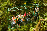 Santa Lucia, Tour aereo dei tram alle avventure della foresta pluviale - Hizvo
