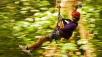 St. Lucia, Adrenaline Zipline Tour at Rainforest Adventures - Hizvo