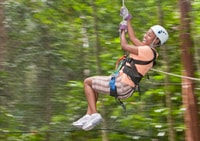 St. Lucia, Adrenaline Zipline Tour at Rainforest Adventures - Hizvo