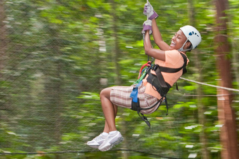 St. Lucia: Rainforest Adventure Adrenaline TourPrzygoda w lesie deszczowym St. Lucia: transfer do portu wycieczkowego