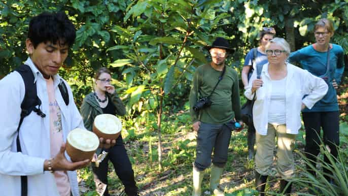 tambopata peruvian amazon jungle for three days/two nights