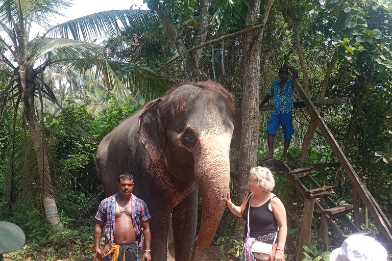 La migliore guida di viaggio dello Sri Lanka: Attrazioni principali Scoprire