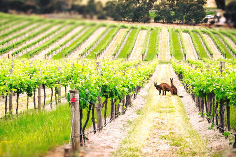 Valle de Barossa: Excursión de 1,5 horas a los viñedos de Two HandsValle de Barossa: Visita de 1,5 horas a viñedos y cata de vinos