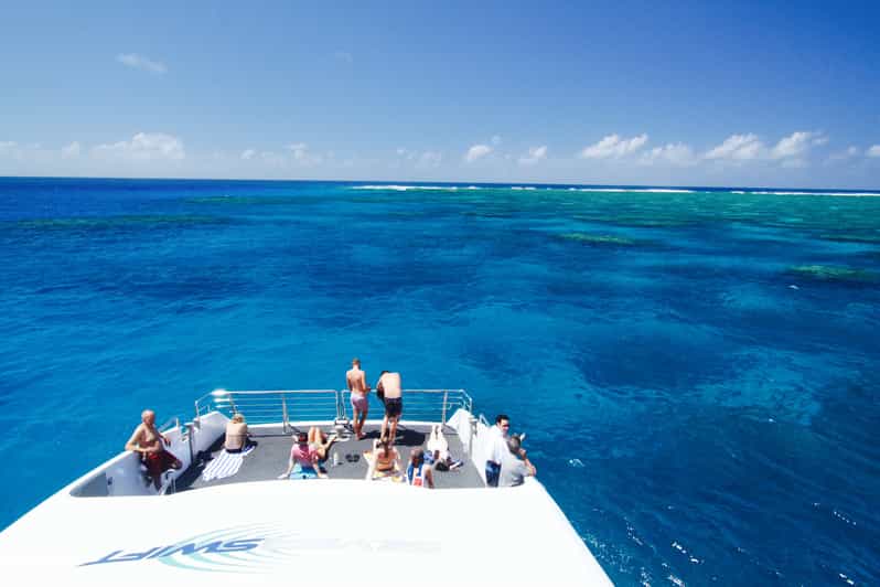 Great Barrier Reef Snorkel & Dive FullDay Adventure GetYourGuide