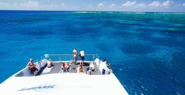 Great Barrier Reef Snorkel Dive Full Day Adventure Getyourguide