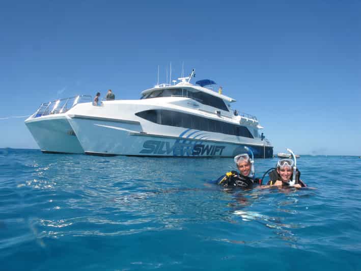 Great Barrier Reef Snorkel & Dive FullDay Adventure GetYourGuide