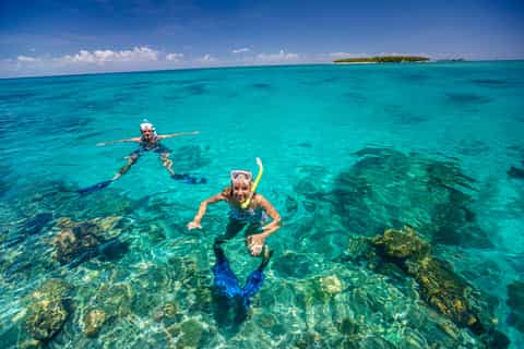 Green Island Eco Adventure from Cairns