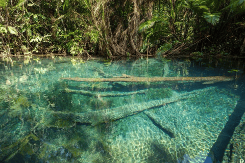 Krabi: Khlong Nam Sai Lagoon with Kayaking & Optional ATV