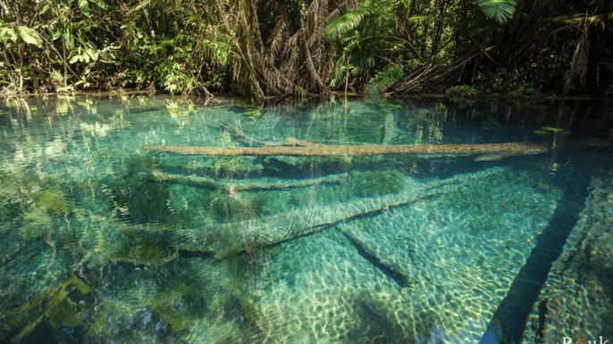 krabi lagoa khlong nam sai com caiaque e quadriciclo opcional
