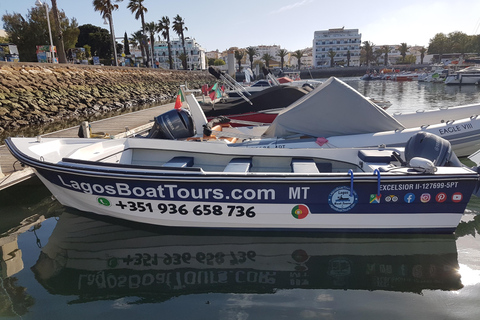 Lagos: Ponta da Piedade Grotto 1-timmes tur med lokal guideDelad gruppresa