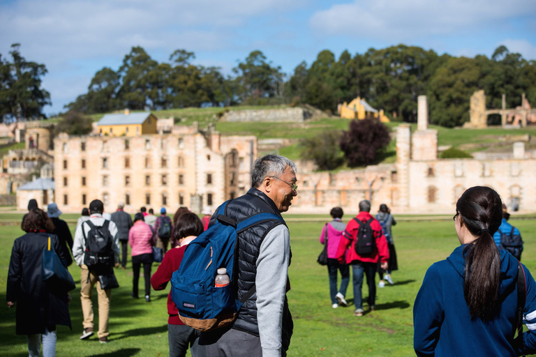 Tour di Port Arthur Shuttle e Tasman SightsPort Arthur: Shuttle Express andata e ritorno da Hobart