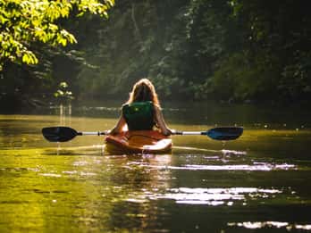Best Seller Northern Phu Quoc & Kayak Aventure with lunch