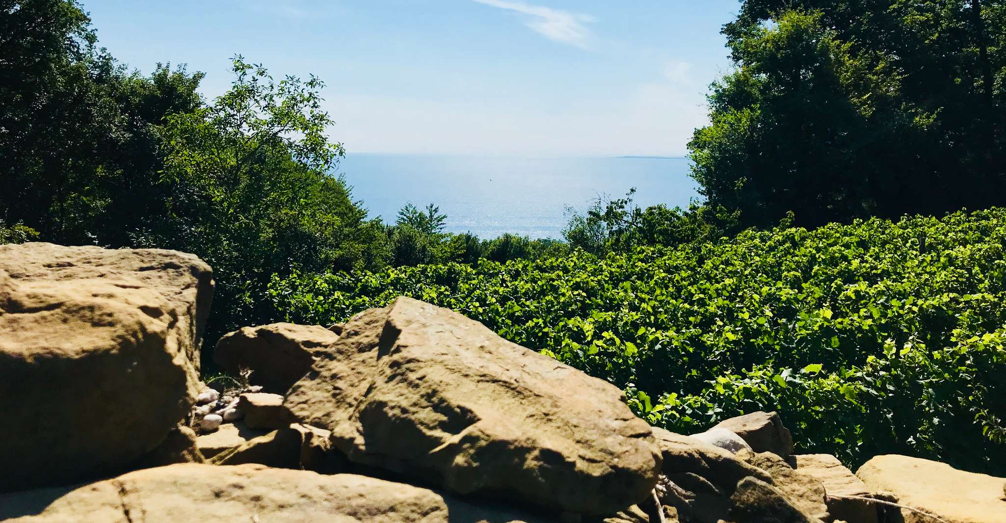 Trieste, 2,5 ore - Prosecco Origins Tour e Degustazioni - Hizvo