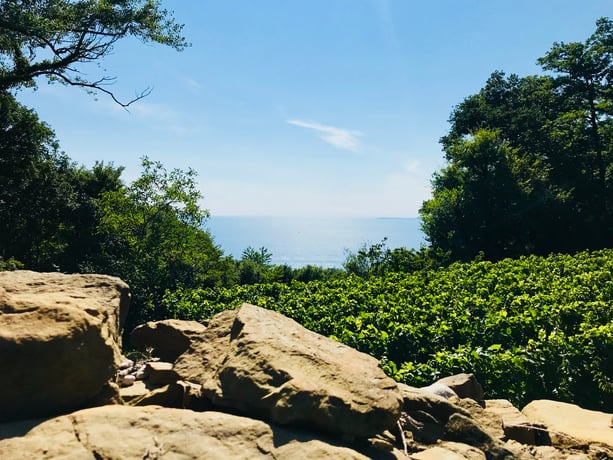 Trieste: 2.5-Hour Prosecco Origins Tour and Tastings