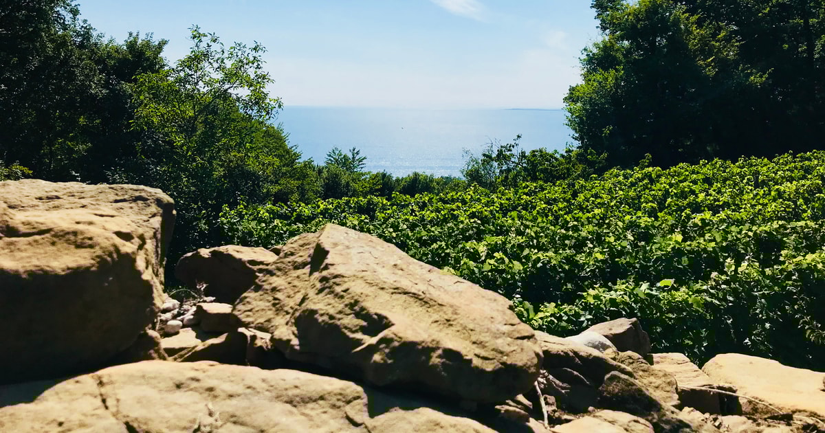 Triest: Prosecco-Tour mit Verkostung | GetYourGuide