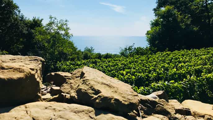 triest proseccotour mit verkostung