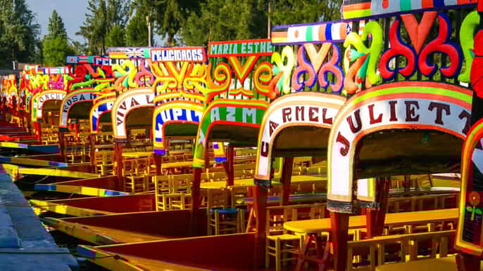 ciudad de méxico tour por xochimilco y ciudad universitaria