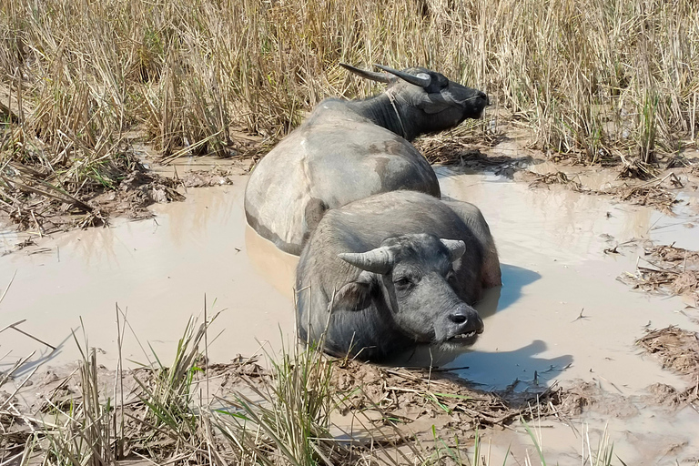 From Vientiane: Plain of Jars Tour & Homestay