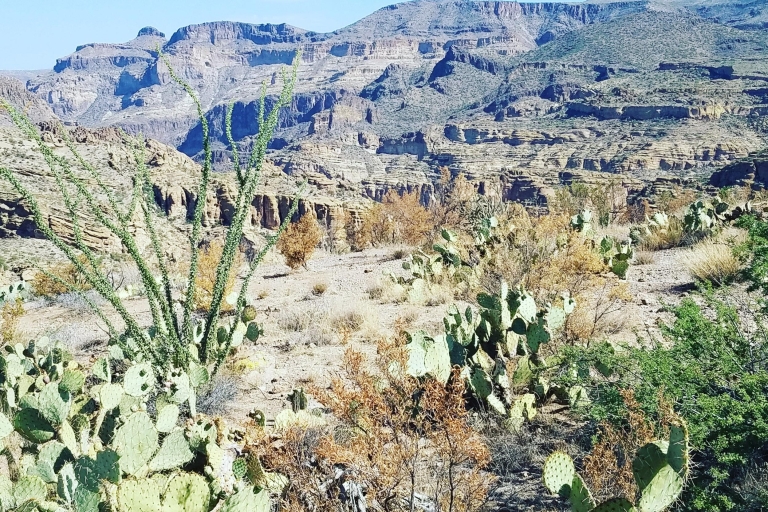 Desde Scottsdale / Phoenix: excursión de un día a Apache Trail