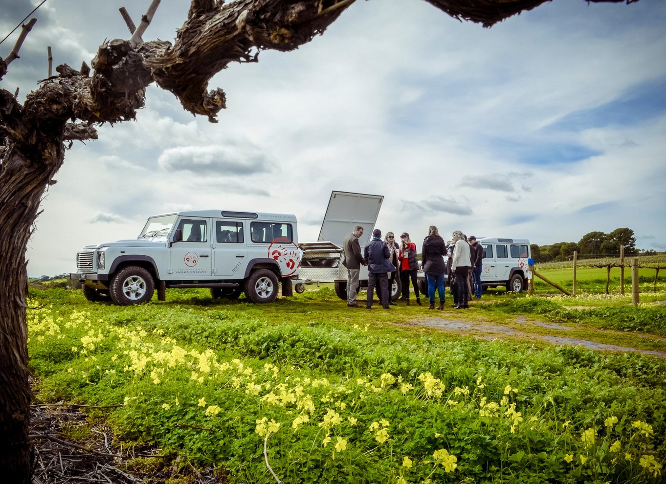 Barossa-dalen: Two Hands 3 timers vingårdstur med 4WD og vin