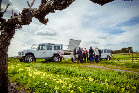 Barossa Valley : Two Hands 3 Hour Vineyard 4WD Tour with WineBarossa Valley : Circuit de 3 heures en 4x4 dans un vignoble avec du vin