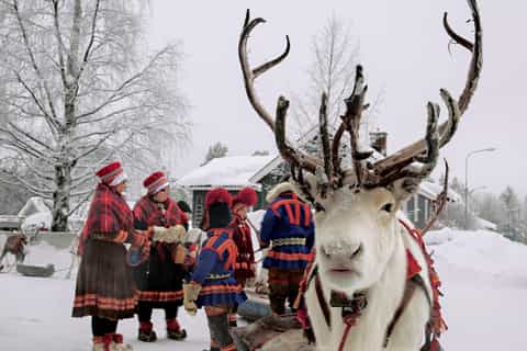Rovaniemi: Snowmobile Safari, Reindeer and Husky Farm