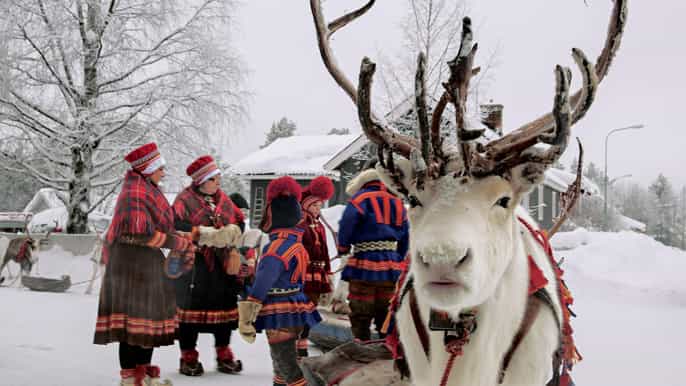 rovaniemi guidet snescootersafari med rensdyr og huskyer